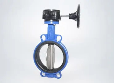 valves